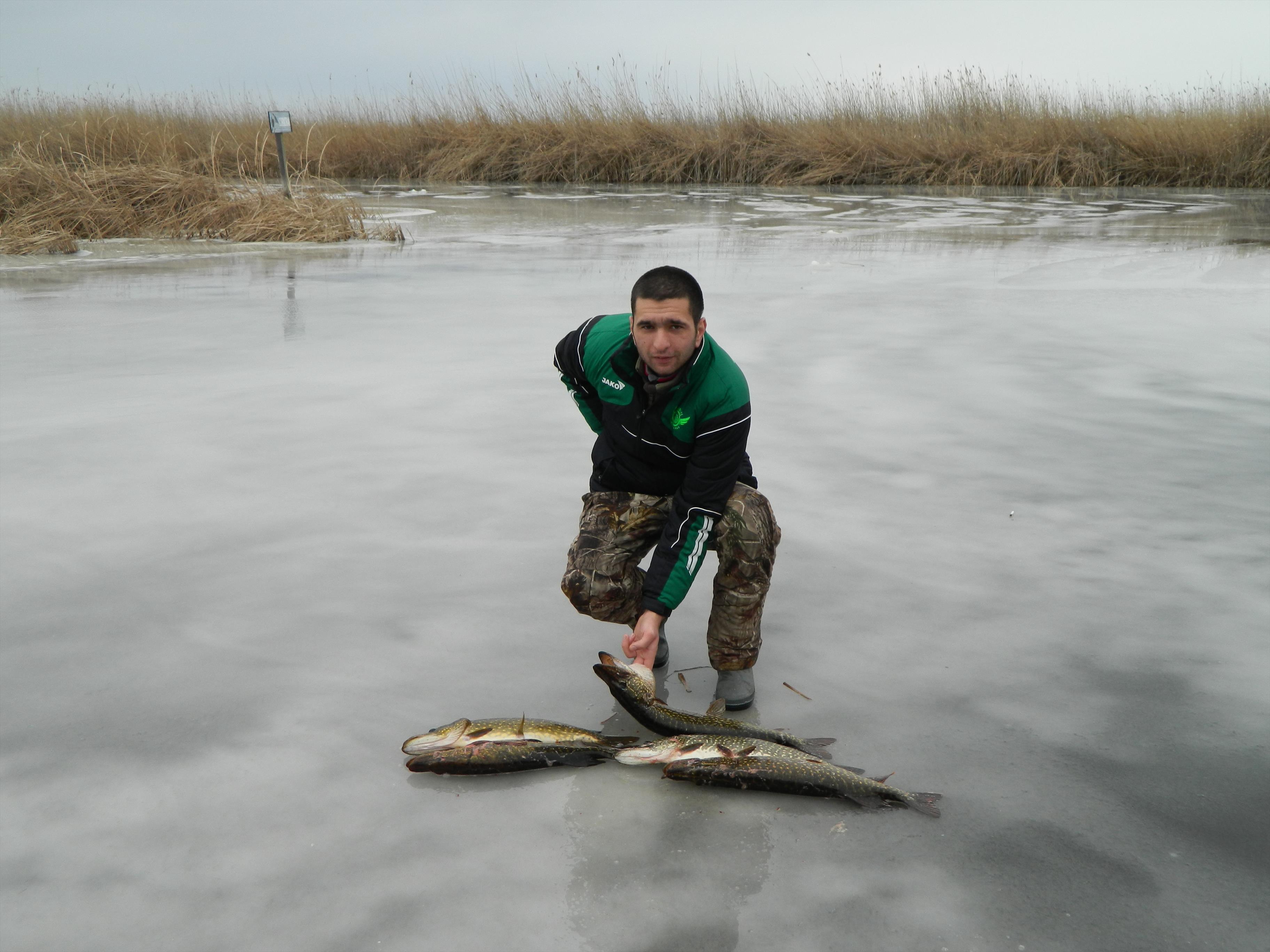 Delta - mulineta 136.jpg